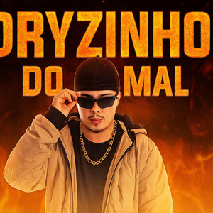 MEGA FUNK DRYZINHO DO MAL