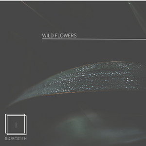 Wild Flowers by Ibormeith