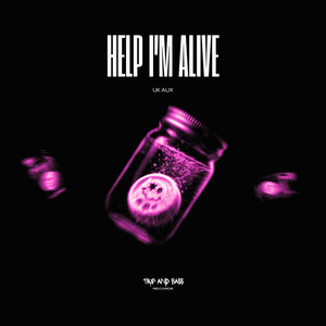 Help I'm Alive - UK HOUSE - Extended Mix by UK AUX