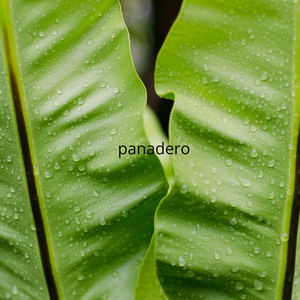 panadero by quimellan
