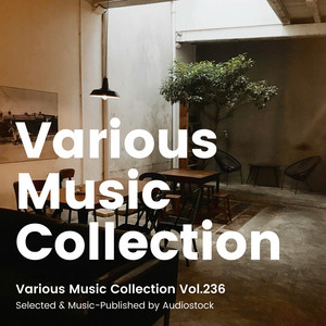 Pikarun - Beautiful Bird