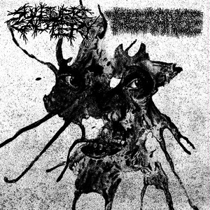 TRICHOBEZOARS//YUPPIE BLUDGEONING by Sulfuric Cautery