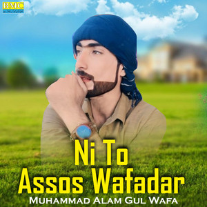 Muhammad Alam Gul Wafa - Na To Wafa He Hem Kanata