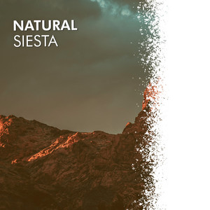 # 1 Album: Natural Siesta album
