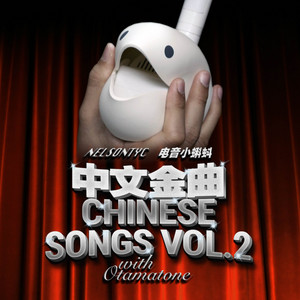 中文金曲 Chinese Songs Vol. 2