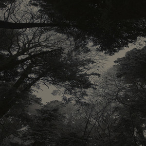 Glizzai - Munchausen