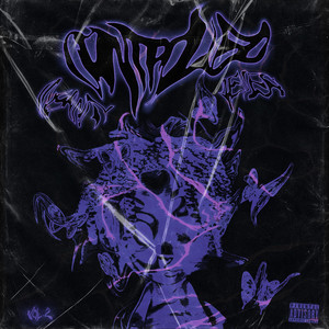 ControlledInsanity4ever, Vol. 2 (KsK remix)