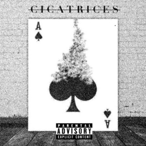 Portada de Cicatrices