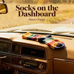 Socks on the dashboard by MAUVE GROOVE