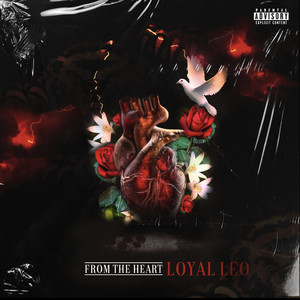 Loyal Beast - Solid