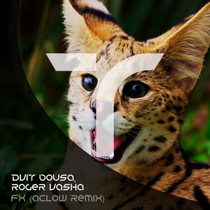 FX - Aklow Remix by Dvit Bousa, Roger Vasha, Aklow