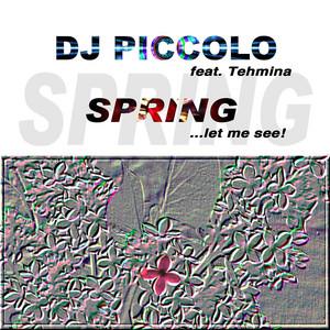 DJ Piccolo - Spring (feat. Tehmina) [The 4 Jays Club Mix]