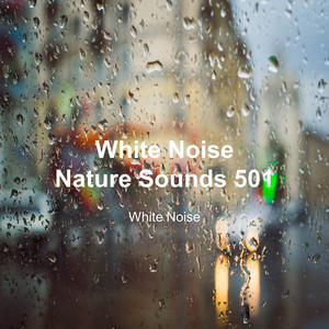 White Noise 501 (Rain Sounds, Bonfire Sound, Baby Sleep, Deep Sleep) cover art