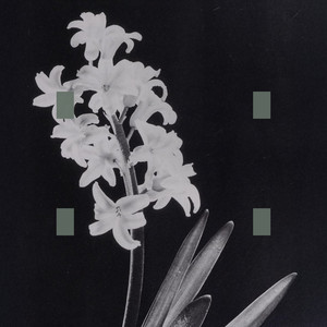 album cover: When Death Leaves