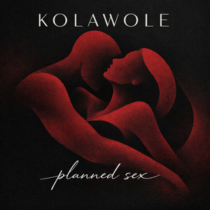 Planned Sex by kolawole