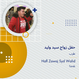 طرب - حفل زواج سيد وليد