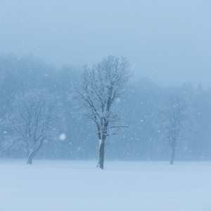 invierno by Blazeevory kg