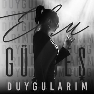 Ebru Gündeş - Duygularım