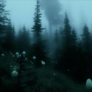 see it thru by vyreli archive, vyreli