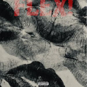 Flex! by JXY!