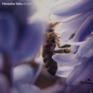Skin by Henesha Yahu