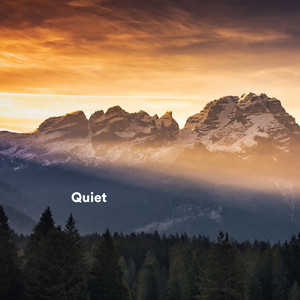 Quiet album