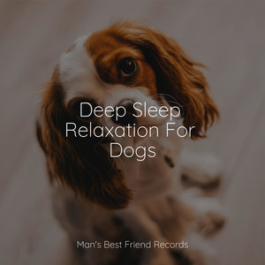 Deep Sleep Relaxation For Dogs album