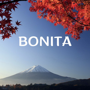 Bonita by B Chorus