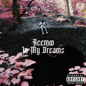 In My Dreams by Reemo