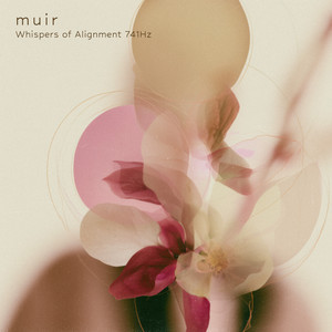 Whispers of Alignment 741Hz by muir