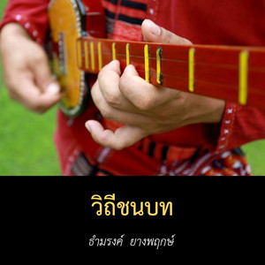 วิถีชนบท