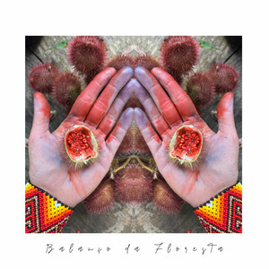 Balanço da Floresta by Marina Txupē