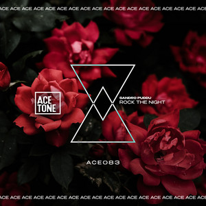 Rock the Night - Original Mix