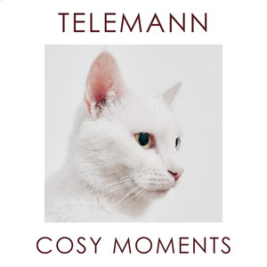Telemann Cosy Moments album