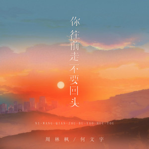 你往前走不要回头 by 周林枫, 何文宇
