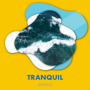 zZz Tranquil Gentle Ocean Tracks zZz album