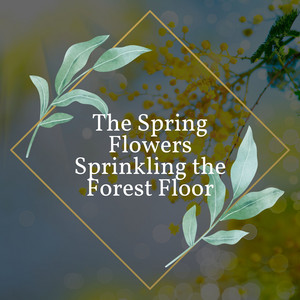 The Spring Flowers Sprinkling the Forest Floor album
