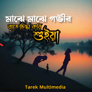 Tarek Multimedia - মাঝে মাঝে গভীর রাতে চিন্তা করি শুইয়া