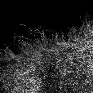 Ache (Hiraeth) by PPR PPL