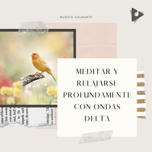 Meditar y Relajarse Profundamente Con Ondas Delta