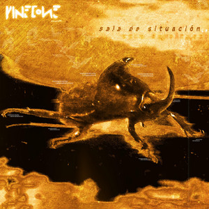 Importunus by Pynecone