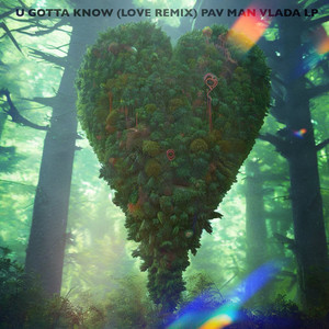 U Gotta Know (Love Remix)