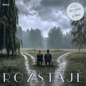Nasze zawsze by Michał Czejgis
