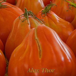 fruits of summer by Alex thor