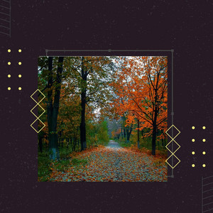 Backdrop for Summer Wellness album