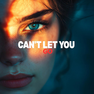 Can't let you go