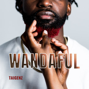 Taigenz - Wandaful