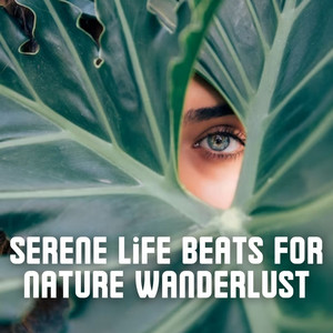 Serene Life Beats for Nature Wanderlust album