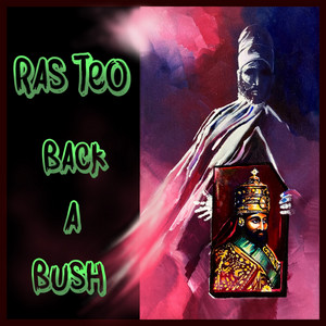 Back A Bush by Ras Teo