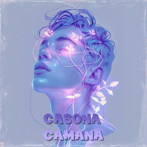 Casona Camana by The MVP